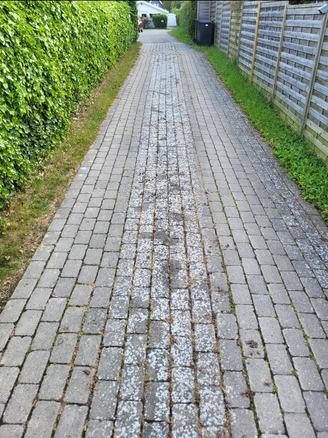 billede før fliserens